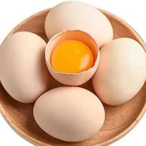 土鸡蛋养殖场直供双色到位，360枚/箱净重37～8斤
