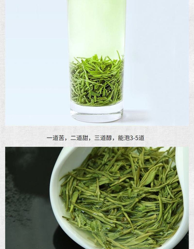 【一斤装】信阳毛尖茶500g新茶明前手工茶叶绿茶