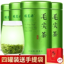 明前毛尖茶新茶毛尖茶叶云雾绿茶明前高山绿茶罐装