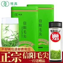 【明禹】毛尖茶新茶叶绿茶嫩芽信阳毛尖茶雨前春茶