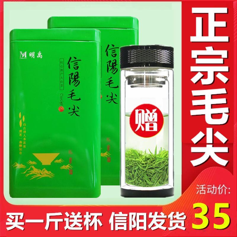 【明禹】毛尖茶新茶叶绿茶嫩芽信阳毛尖茶雨前春茶
