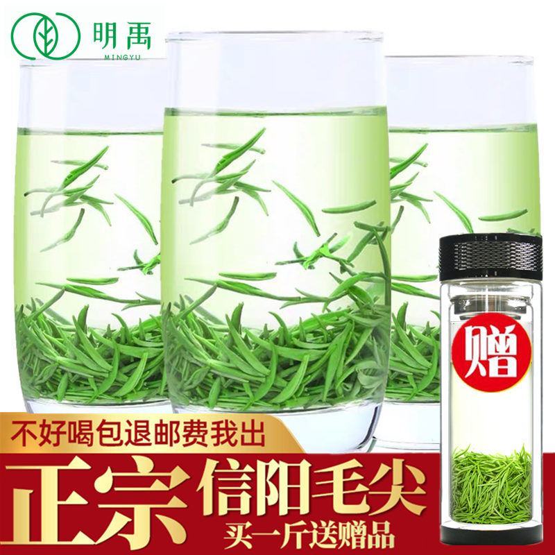 【明禹】毛尖茶新茶叶绿茶嫩芽信阳毛尖茶雨前春茶