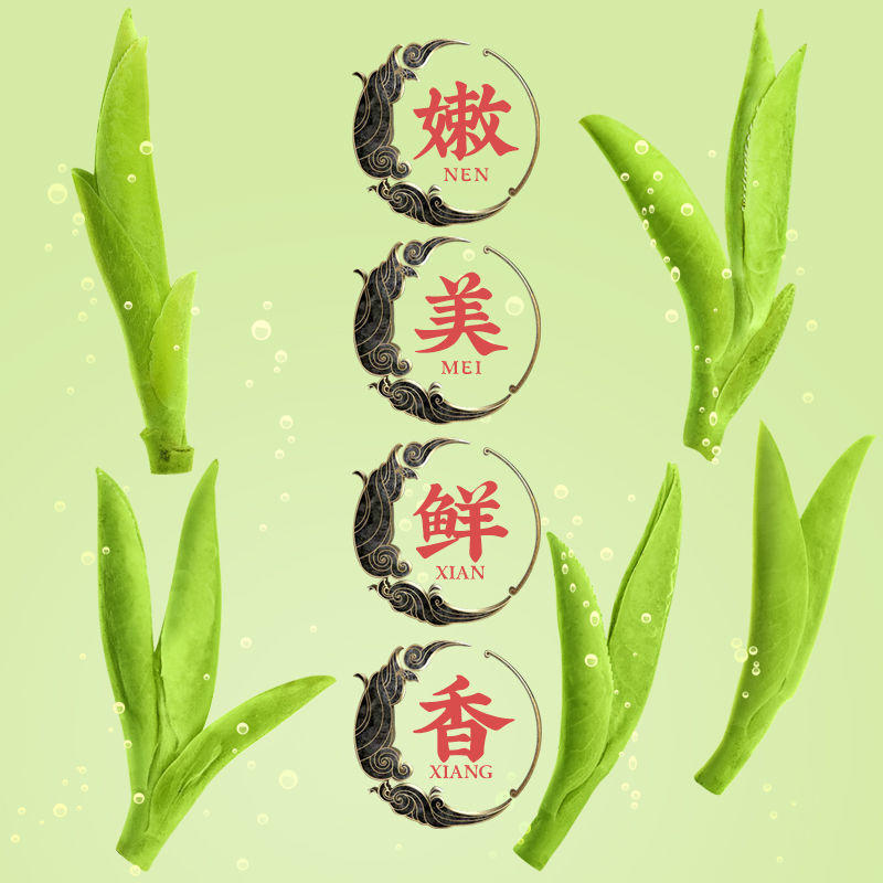 西湖杭州龙井新茶明前特级茶叶群体古龙井浓香型茶叶