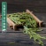 梅府茗家绿茶明前级狮峰山西湖龙井茶150g春茶