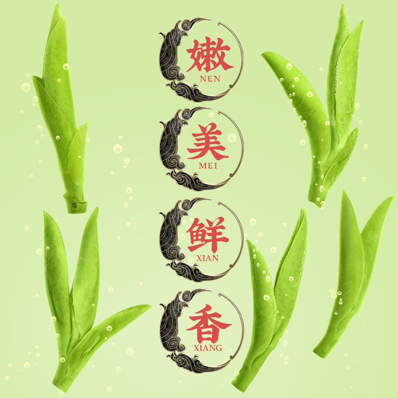 梅府茗家绿茶明前级狮峰山西湖龙井茶150g春茶