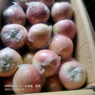 红富士苹果口感脆甜。皮薄多汁，表面蜡质色泽靓丽，