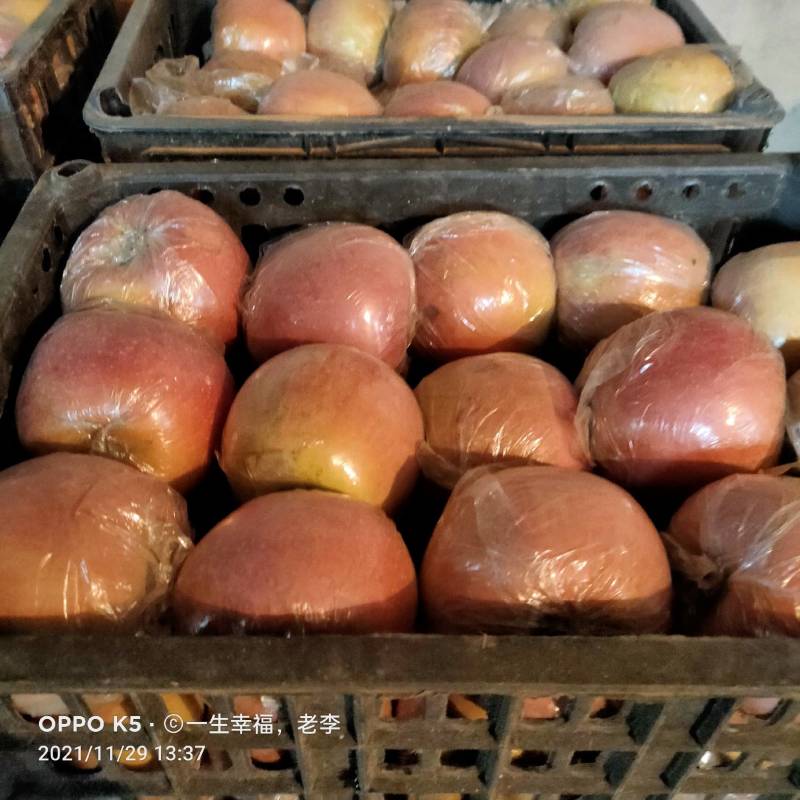 红富士苹果口感脆甜。皮薄多汁，表面蜡质色泽靓丽，