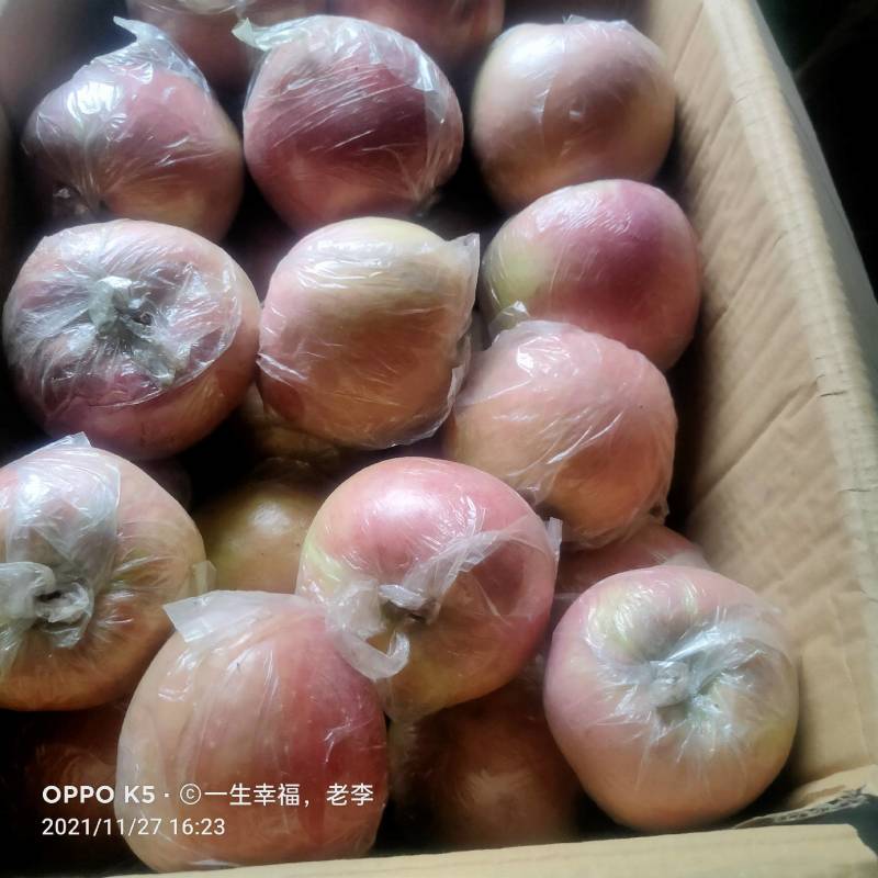 红富士苹果口感脆甜。皮薄多汁，表面蜡质色泽靓丽，