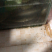 鳗鱼