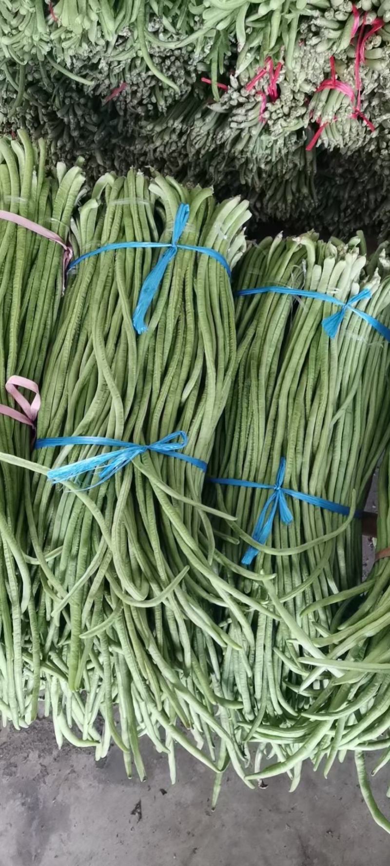 【山东芸豆】白不老芸豆九粒白芸豆产地直发量大从优