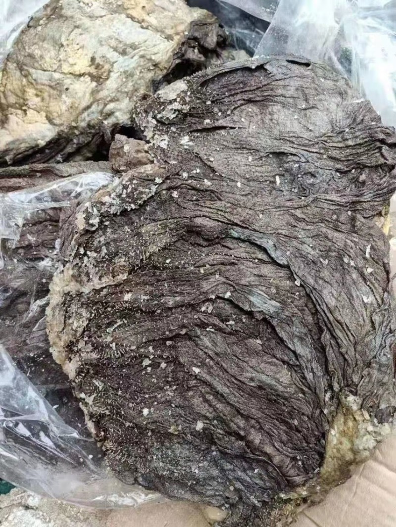 高品质毛肚，百叶，质量保证！干鲜果都有，诚意合作，111