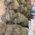 高品质毛肚，百叶，质量保证！干鲜果都有，诚意合作，111