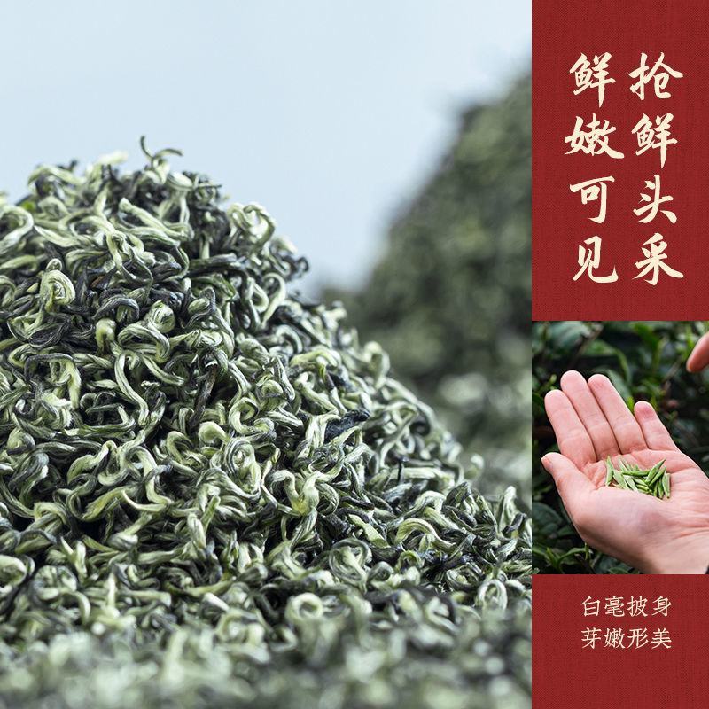 碧螺春茶叶2024新茶雨前碧螺春云雾高山绿茶明前春茶