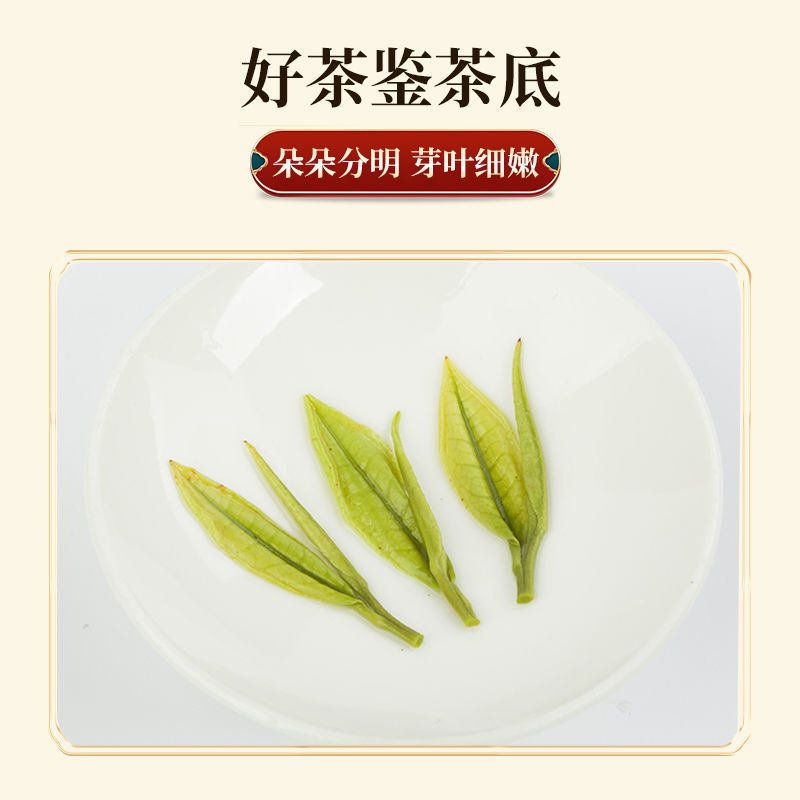 安吉白茶茶叶2024年新茶明前高山春茶罐装礼盒装包邮