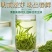 2024新茶一杯香明前安吉白茶200g罐装春茶绿茶茶叶