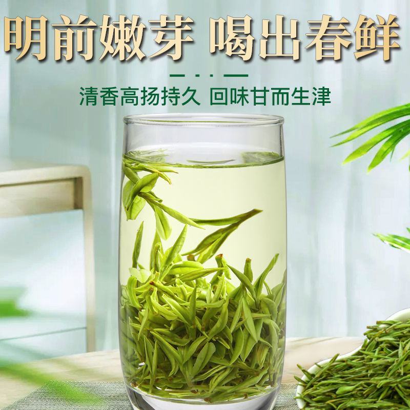 2024新茶一杯香明前安吉白茶200g罐装春茶绿茶茶叶