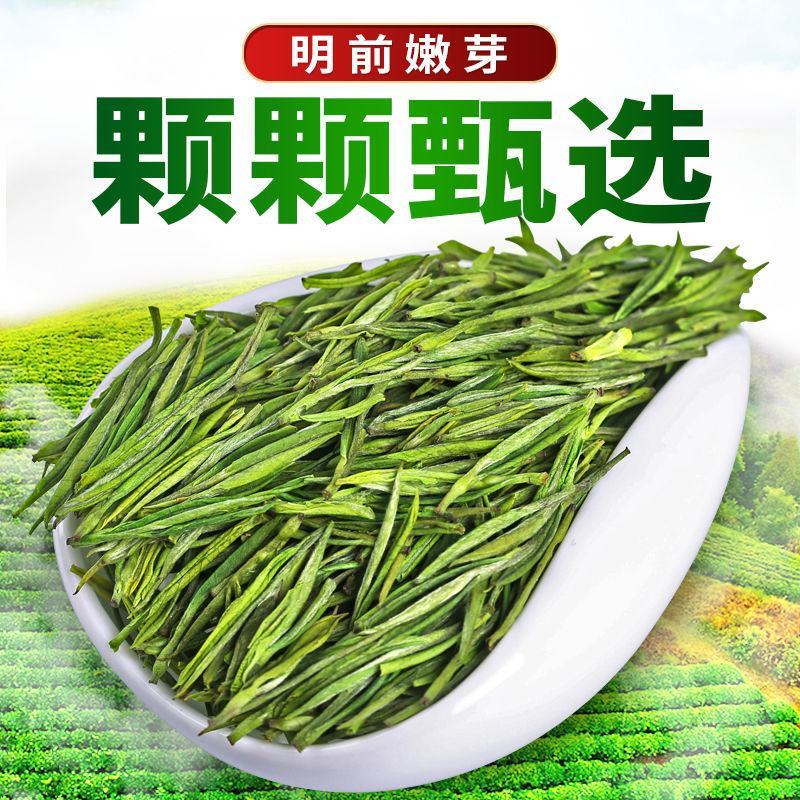 2024新茶一杯香明前安吉白茶200g罐装春茶绿茶茶叶