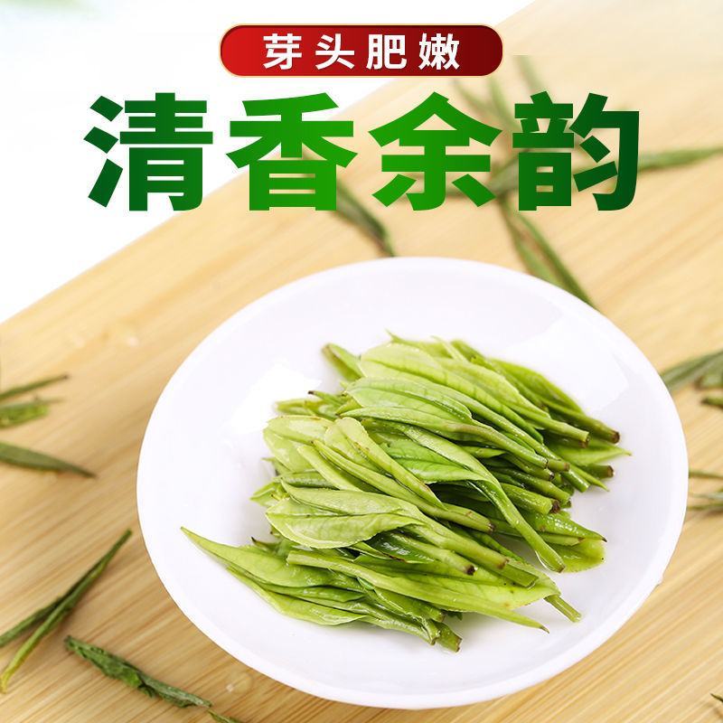 2024新茶一杯香明前安吉白茶200g罐装春茶绿茶茶叶