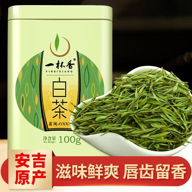 2024新茶一杯香明前安吉白茶200g罐装春茶绿茶茶叶