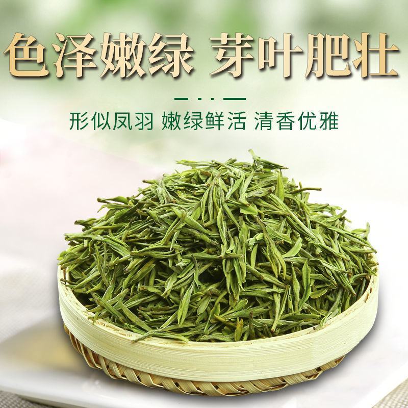 2024新茶一杯香明前安吉白茶200g罐装春茶绿茶茶叶