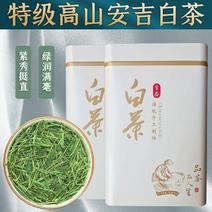 安吉白茶2024新茶浓香型正宗高山明前珍稀绿茶春茶叶