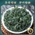 绿茶2024新茶云雾绿茶叶高山云雾绿茶新茶绿茶嫩芽云雾茶