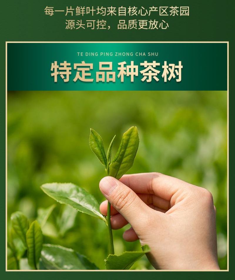 太平猴魁新茶绿茶嫩芽安徽黄山猴魁绿茶手工礼盒包邮