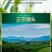 太平猴魁新茶绿茶嫩芽安徽黄山猴魁绿茶手工礼盒包邮