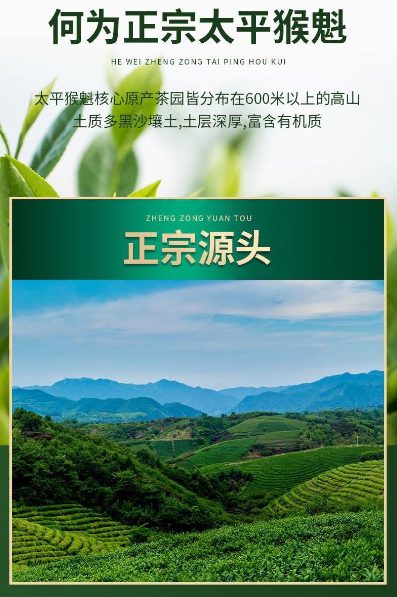 太平猴魁新茶绿茶嫩芽安徽黄山猴魁绿茶手工礼盒包邮