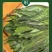 太平猴魁新茶绿茶嫩芽安徽黄山猴魁绿茶手工礼盒包邮