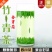 【产地销】2023新茶竹青茶叶春茶竹叶青茶礼盒装包邮