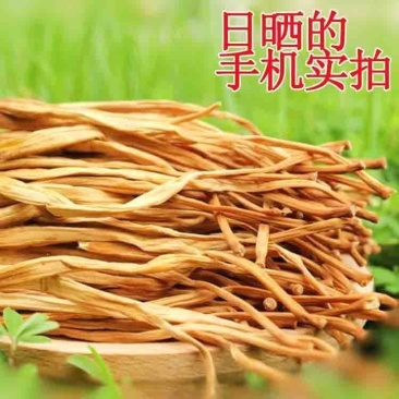 今年的农家特产日晒干黄花菜干货新鲜大同金针黄花菜下饭菜毛