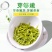 明前蒙顶甘露嫩芽新茶四川蒙顶高山绿茶春茶特级茶叶