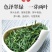 【产地直】2023新茶岳西翠兰礼茶头清明前茶礼盒包邮