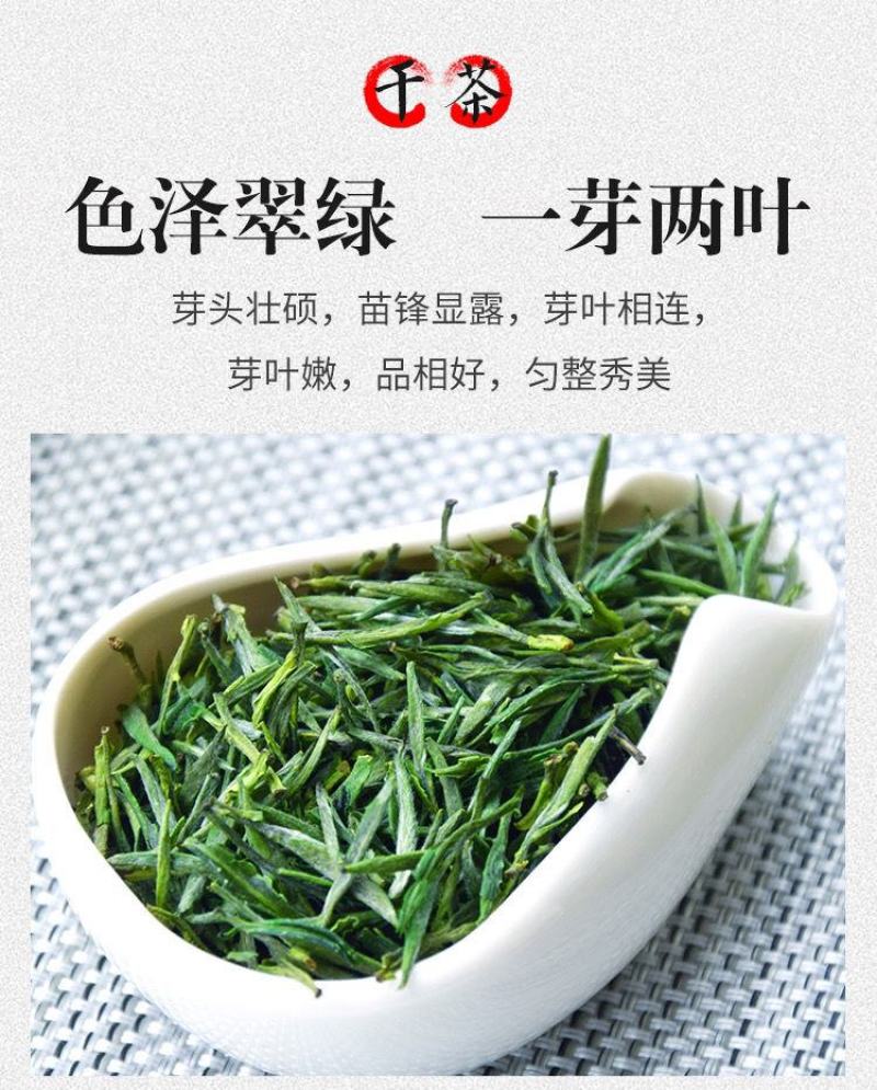 【产地直】2023新茶岳西翠兰礼茶头清明前茶礼盒包邮