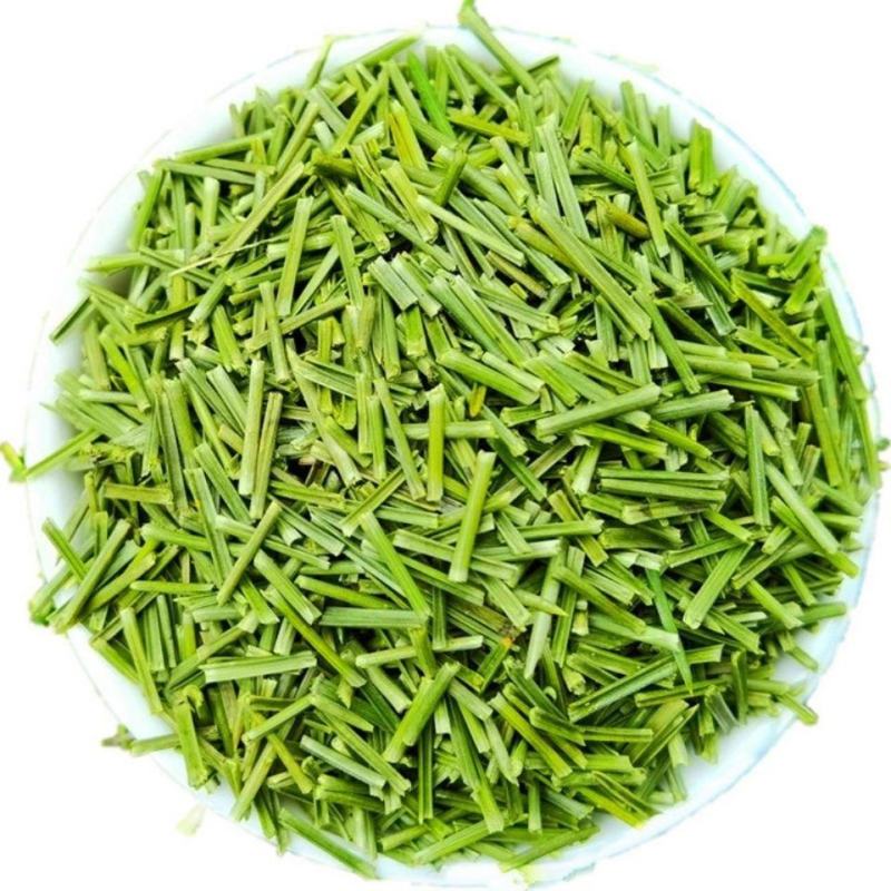 秦岭野生松针茶特级全松茶干松针茶叶油松马尾松松叶包邮