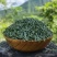 秦岭野生松针茶特级全松茶干松针茶叶油松马尾松松叶包邮