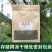 秦岭野生松针茶特级全松茶干松针茶叶油松马尾松松叶包邮