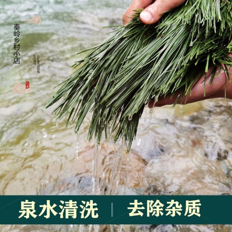 秦岭野生松针茶特级全松茶干松针茶叶油松马尾松松叶包邮