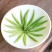 产地万季香贵州特级湄潭翠芽新茶叶特产礼盒装包邮
