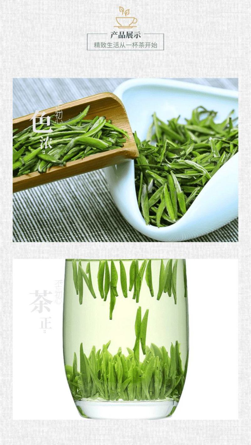 陕西汉中仙毫绿茶新茶雀舌茶叶明前春茶嫩芽高山
