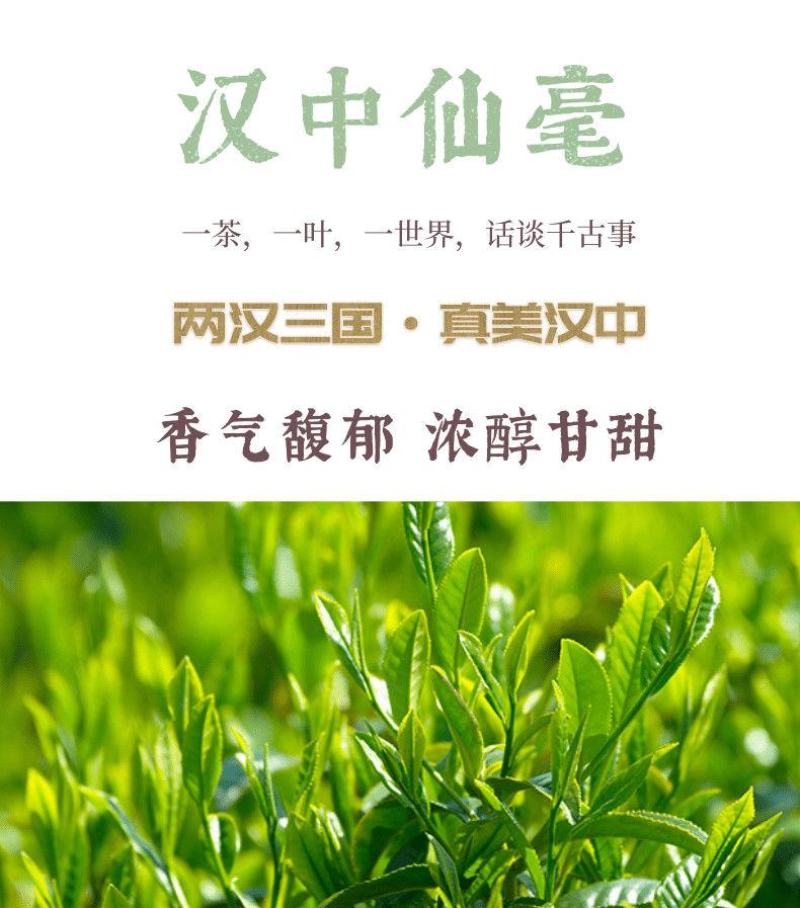陕西汉中仙毫绿茶新茶雀舌茶叶明前春茶嫩芽高山
