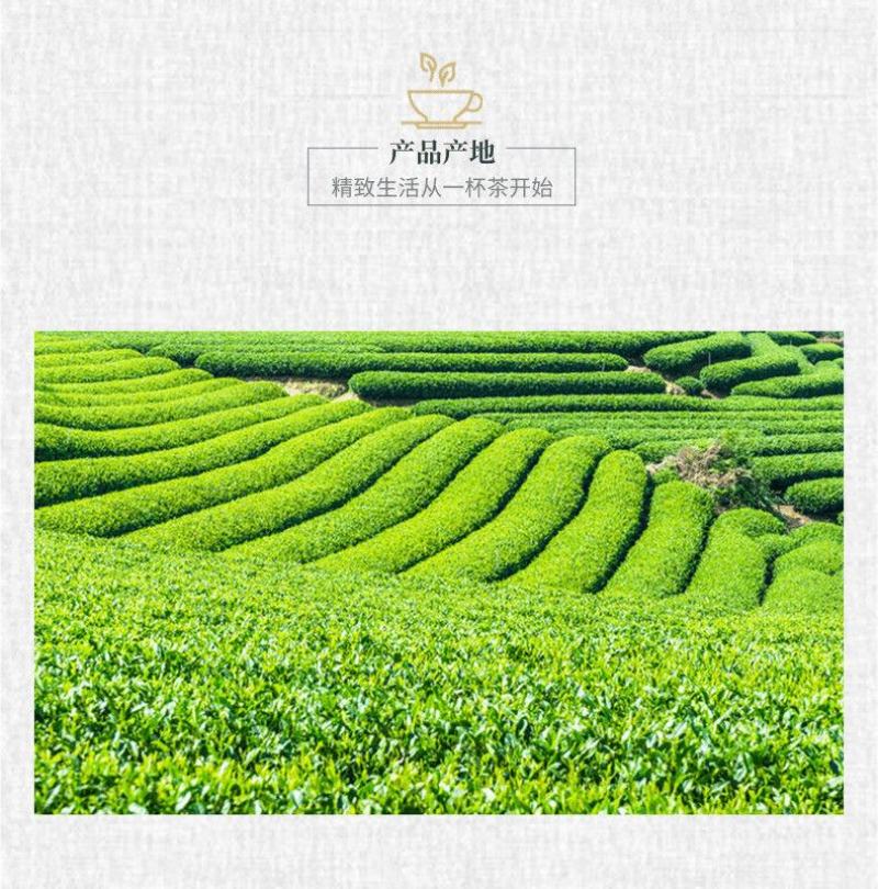 陕西汉中仙毫绿茶新茶雀舌茶叶明前春茶嫩芽高山
