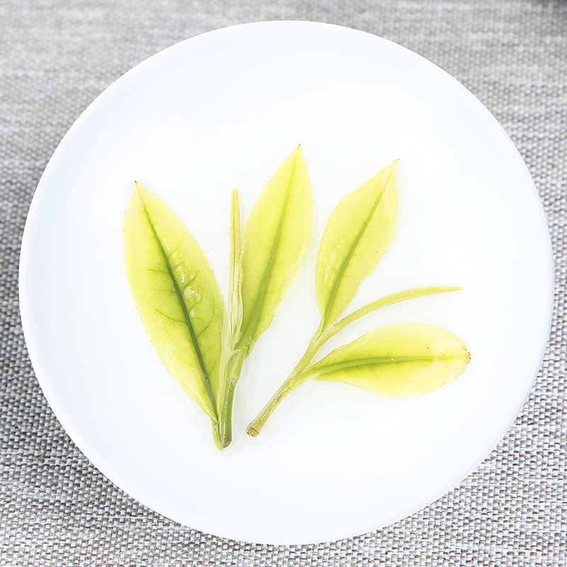 贵州茶叶正安白茶新茶散装安吉白茶鲜爽回