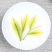 贵州茶叶正安白茶新茶散装安吉白茶鲜爽回