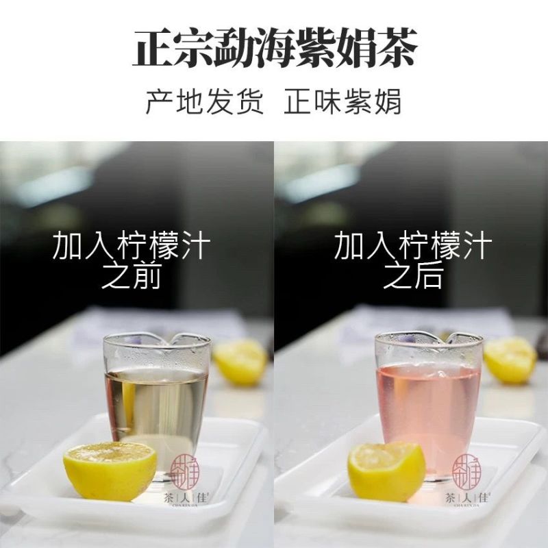 紫娟茶云南茶生茶紫鹃茶紫芽茶清香型花青素含量高茶饼包邮