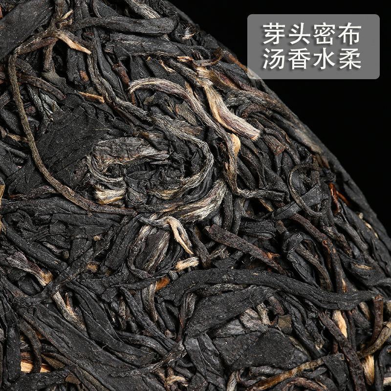 紫娟茶云南茶生茶紫鹃茶紫芽茶清香型花青素含量高茶饼包邮