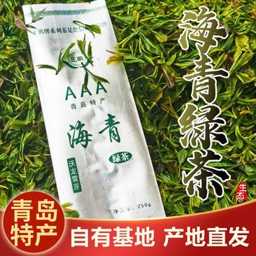 海青绿茶茶叶新茶袋装炒青山东青岛日照豌豆香