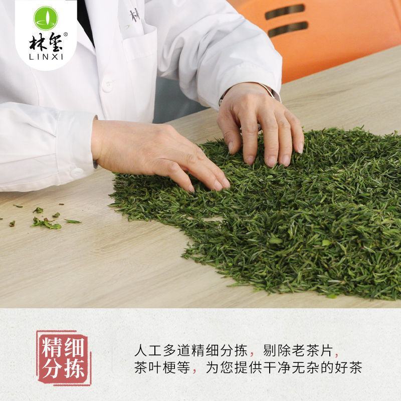 金寨翠眉新茶叶明前特级高山云雾绿茶清香型500g