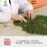 金寨翠眉新茶叶明前特级高山云雾绿茶清香型500g